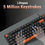 Ant Value USB Keyboard MASTER01